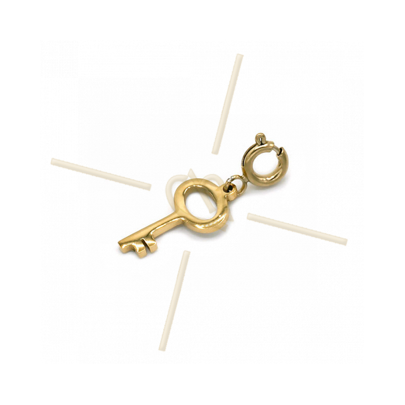 Charms acier inoxydable Gold Plated avec attache Clef