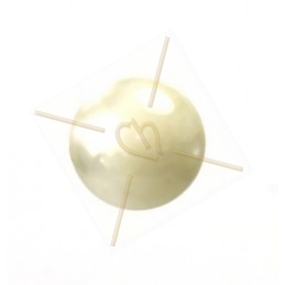 ball 14mm Super Polaris beige Poudre