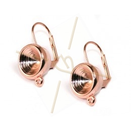 earrings with ring for ss39...